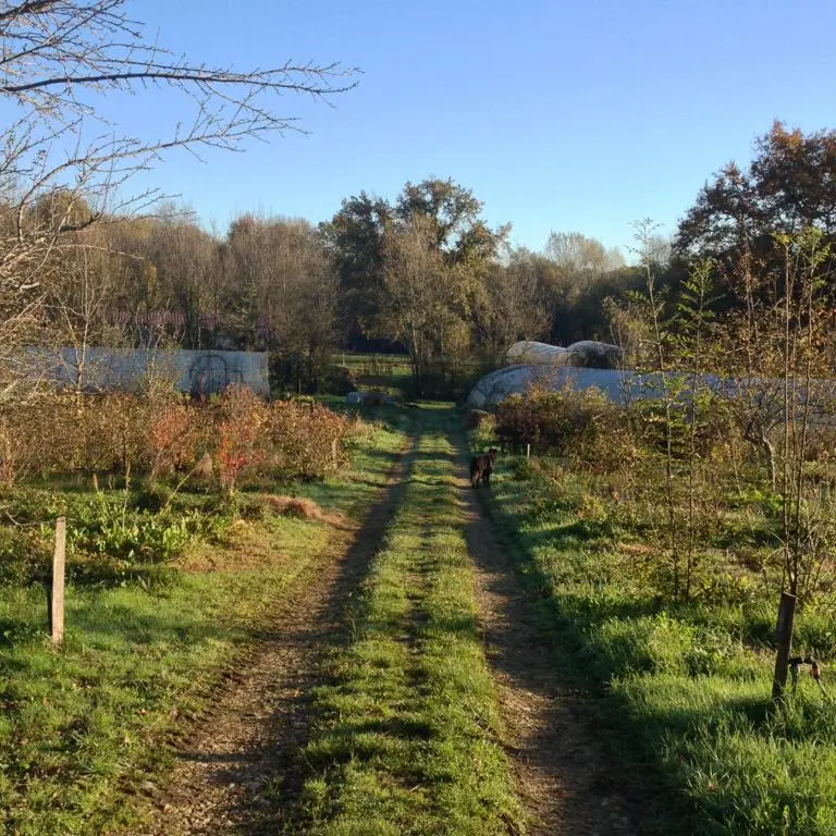 Jardin-bio-St-Martin-Vue-propriété