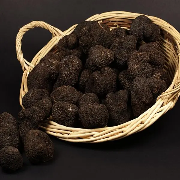 L'Or des AngesTruffes