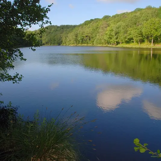 La Coquille Etang de La Barde ©Photoc
