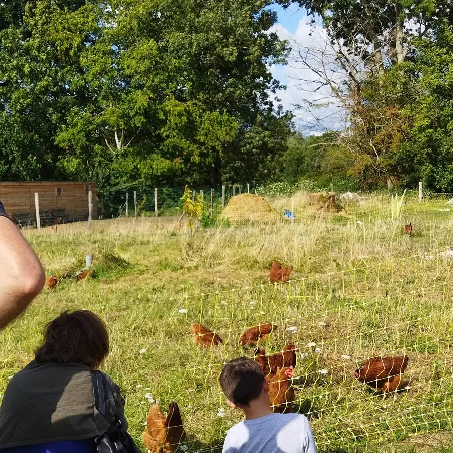 Visite de ferme - -La-Potager-dAllemans-2