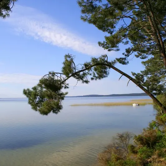 Lac de Cazaux