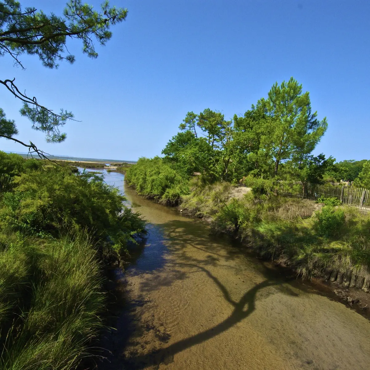 Le Site Naturel Sensible de St Brice