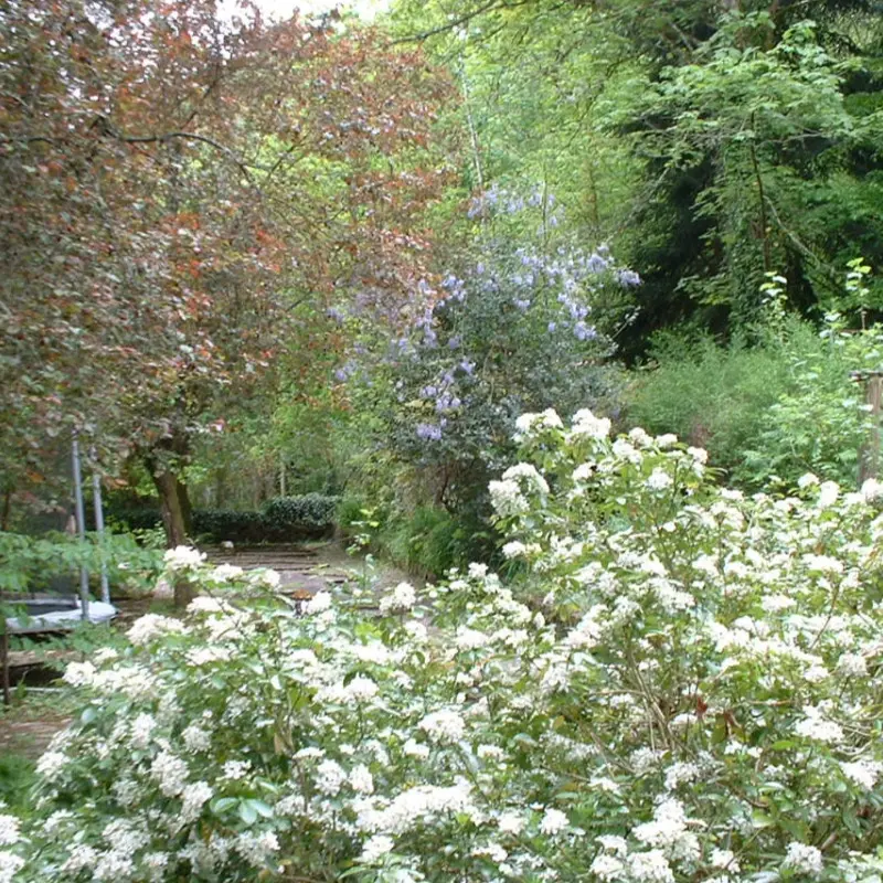 Le Vieux Moulin de la Maque 3