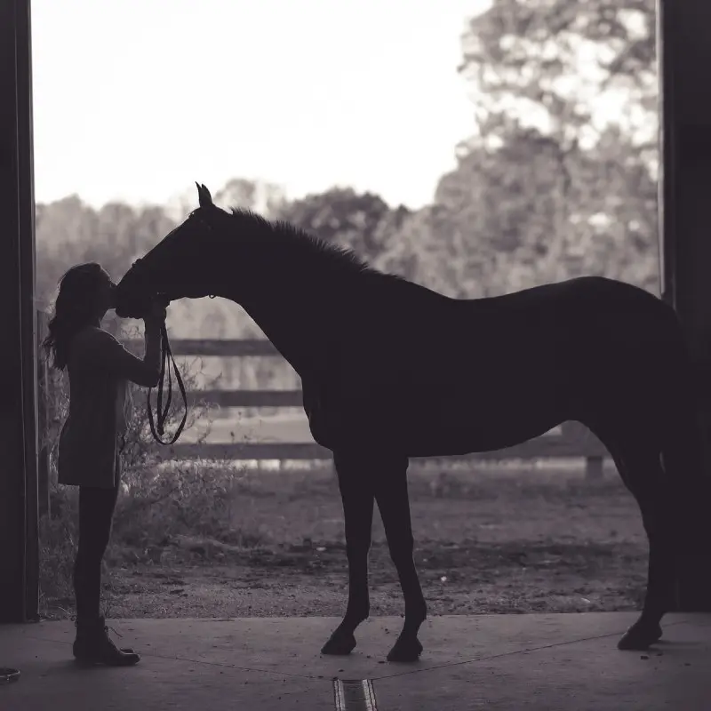 Le cheval autrement