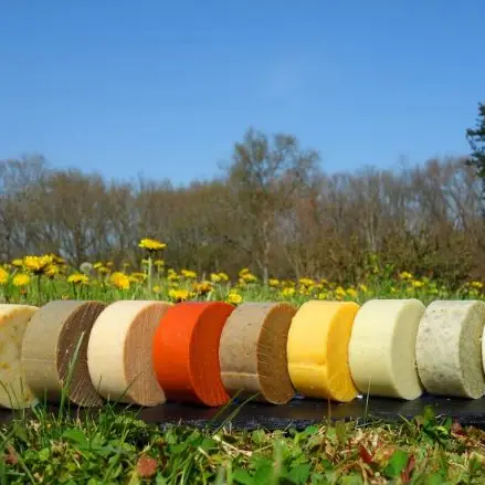 Le pré en bulles