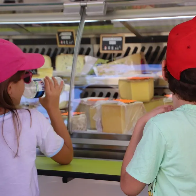 Marché Mugron jeudi - fromager
