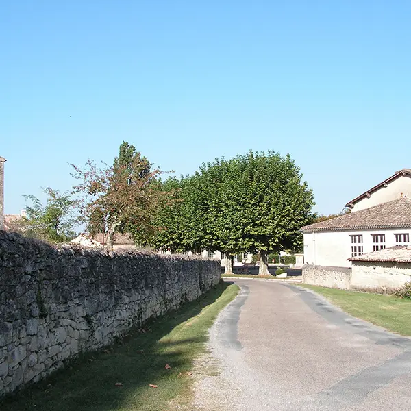 Montpeyroux (4)