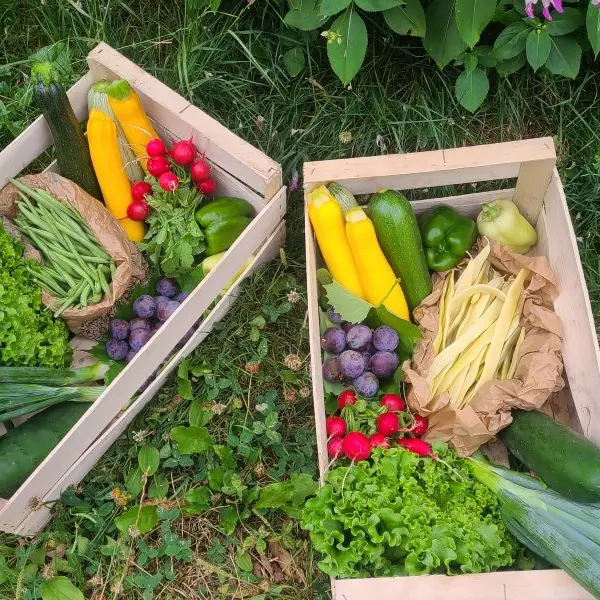 O champs des possibles