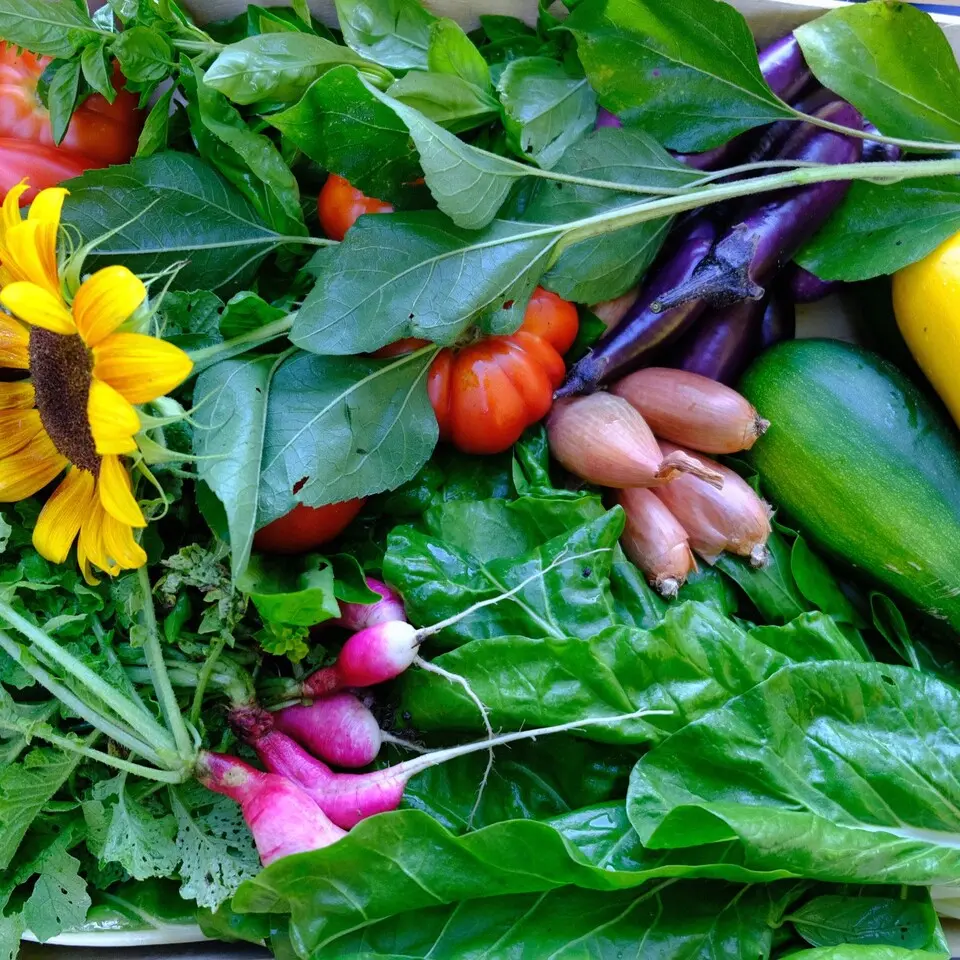Panier