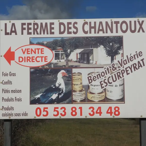Bienvenue à la Ferme des Chantoux