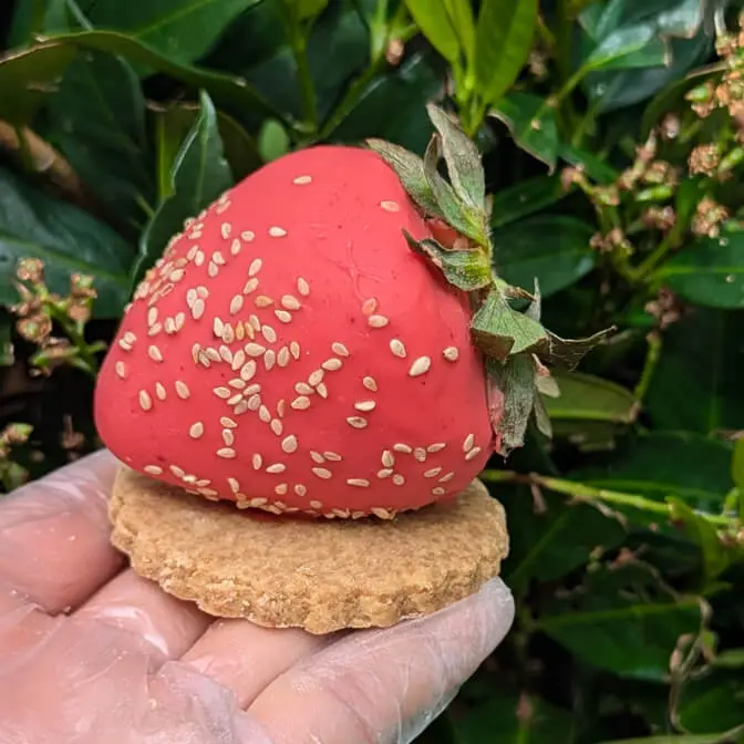 Papilles - Fraise