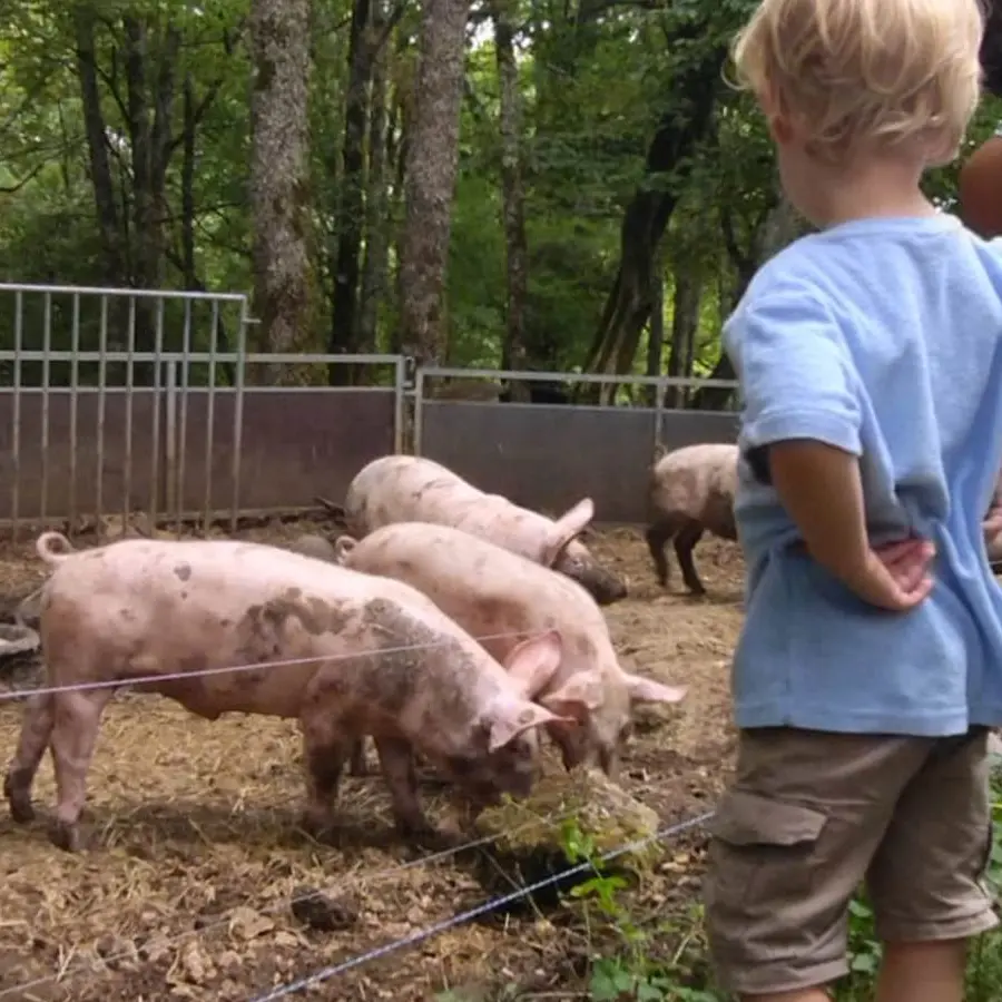 Visite de ferme - Porc-et-Biquettes-de-Cercles-1