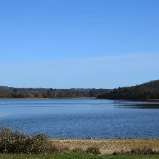 Plan d'eau de Miallet eau