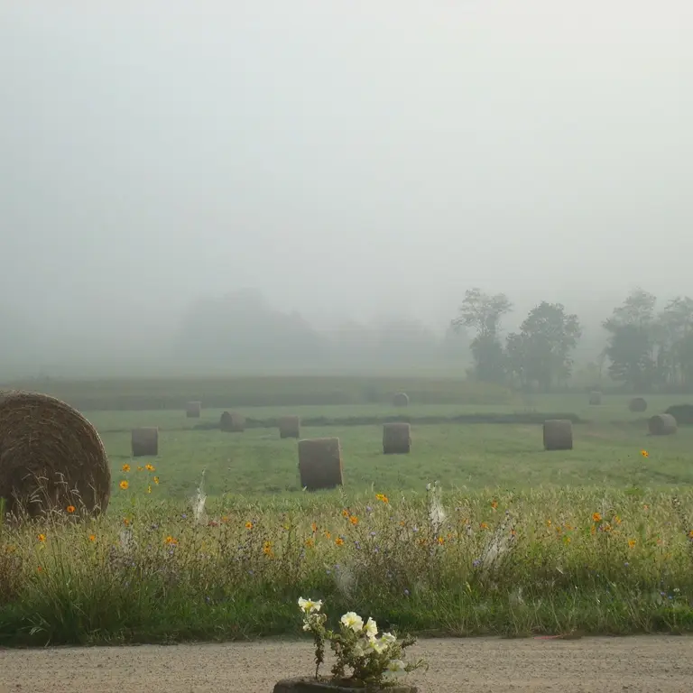 Pussacq -meules de foin (2)