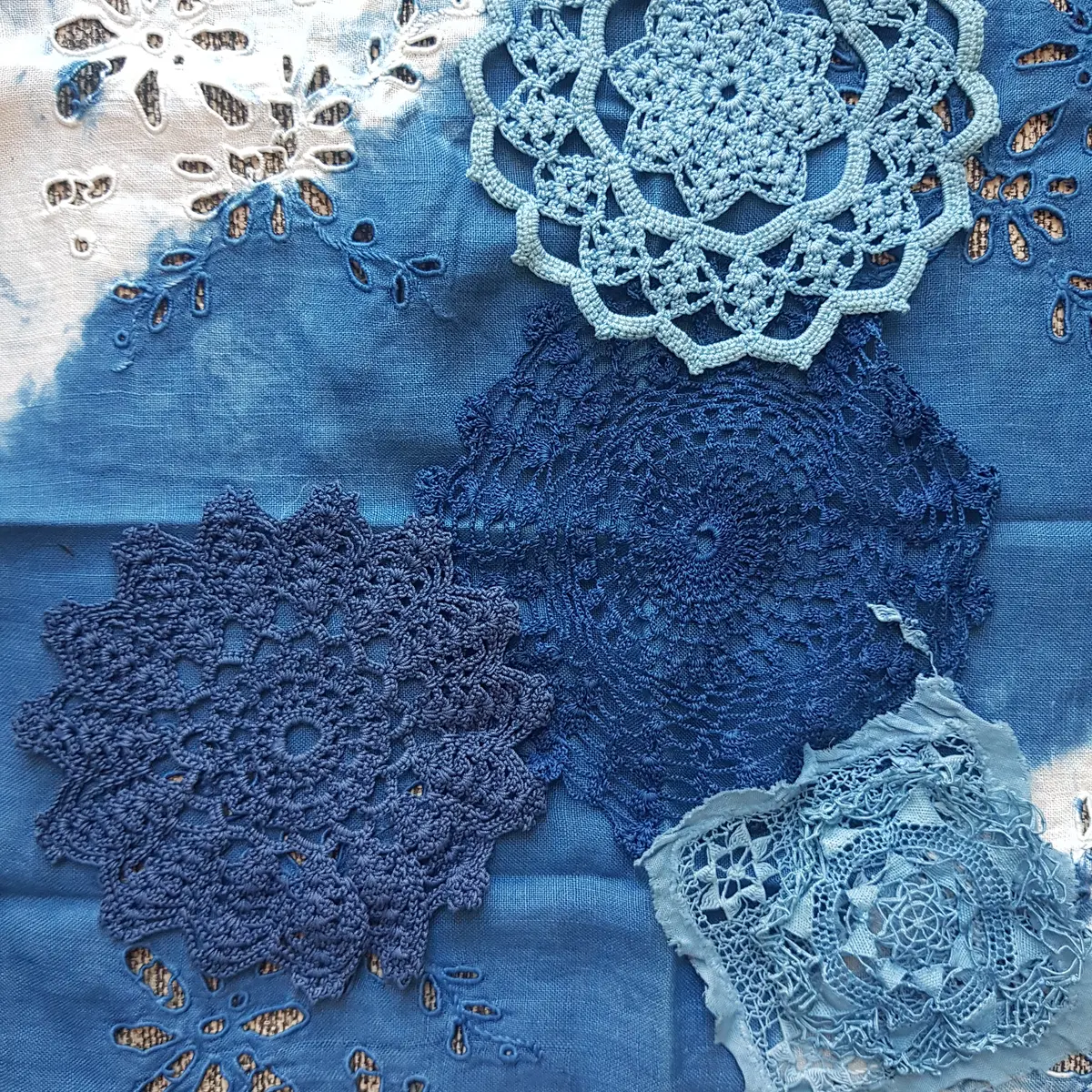 Teintures végétales indigo