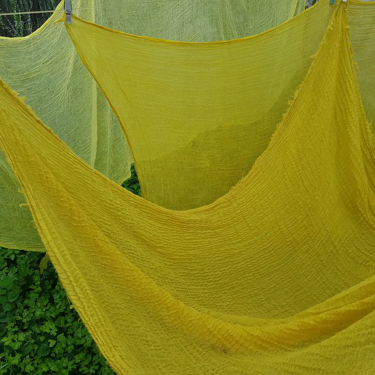 Teintures végétales sur textiles copie