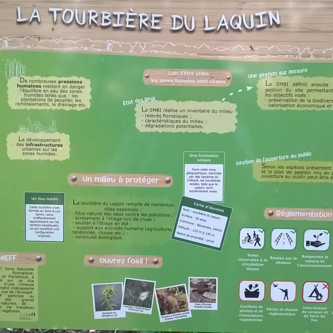 Tourbière du Lanquais Beleymas (4)