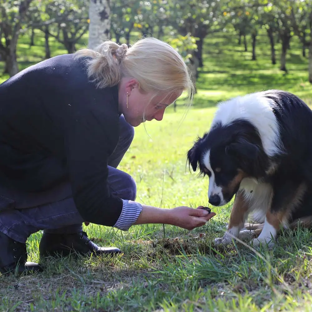 Domaine de Vielcroze -Truffière 2