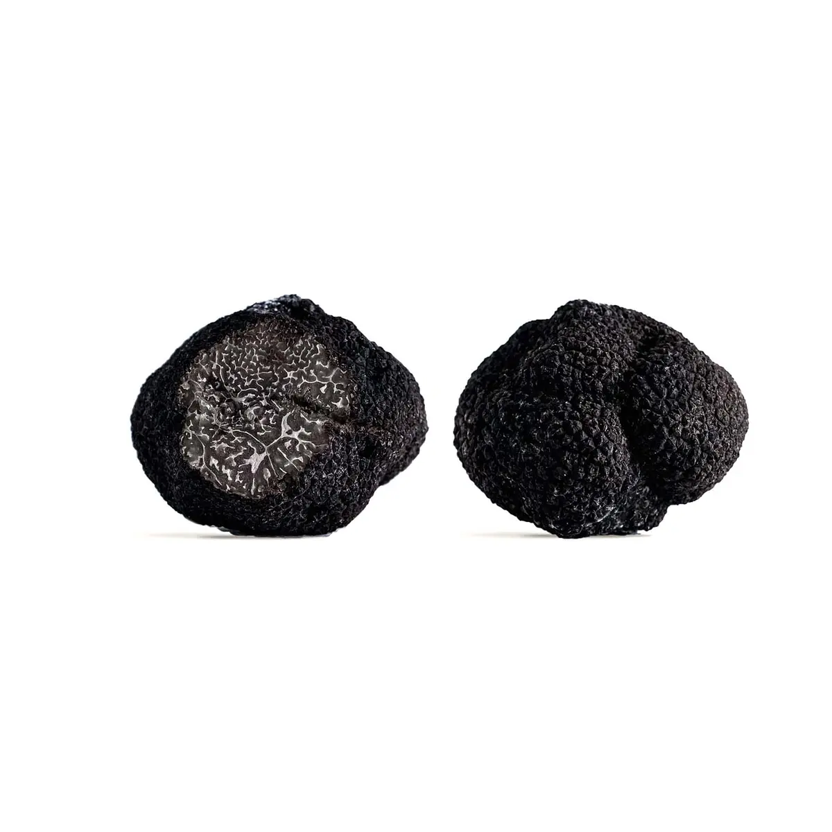 Domaine de Vielcroze -Truffière 3