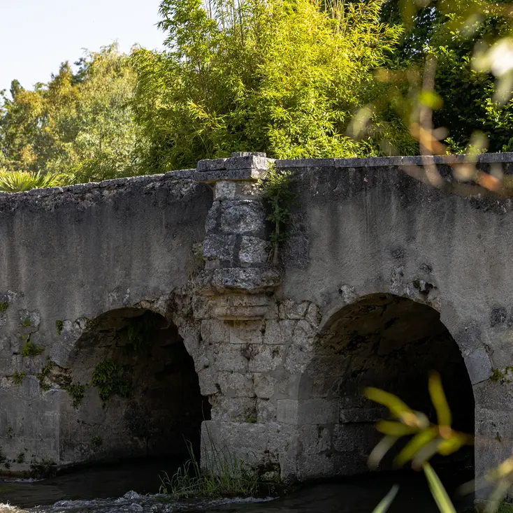 Vieux Pont de Saint-Aulaye