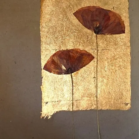 coquelicot sur feuille