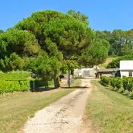 entrée grand roc vignoble domaine