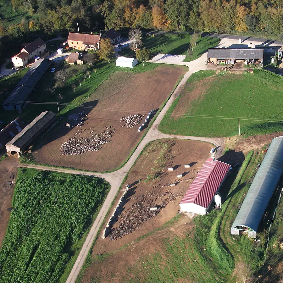 Ferme des Oies du Périgord Noir 3