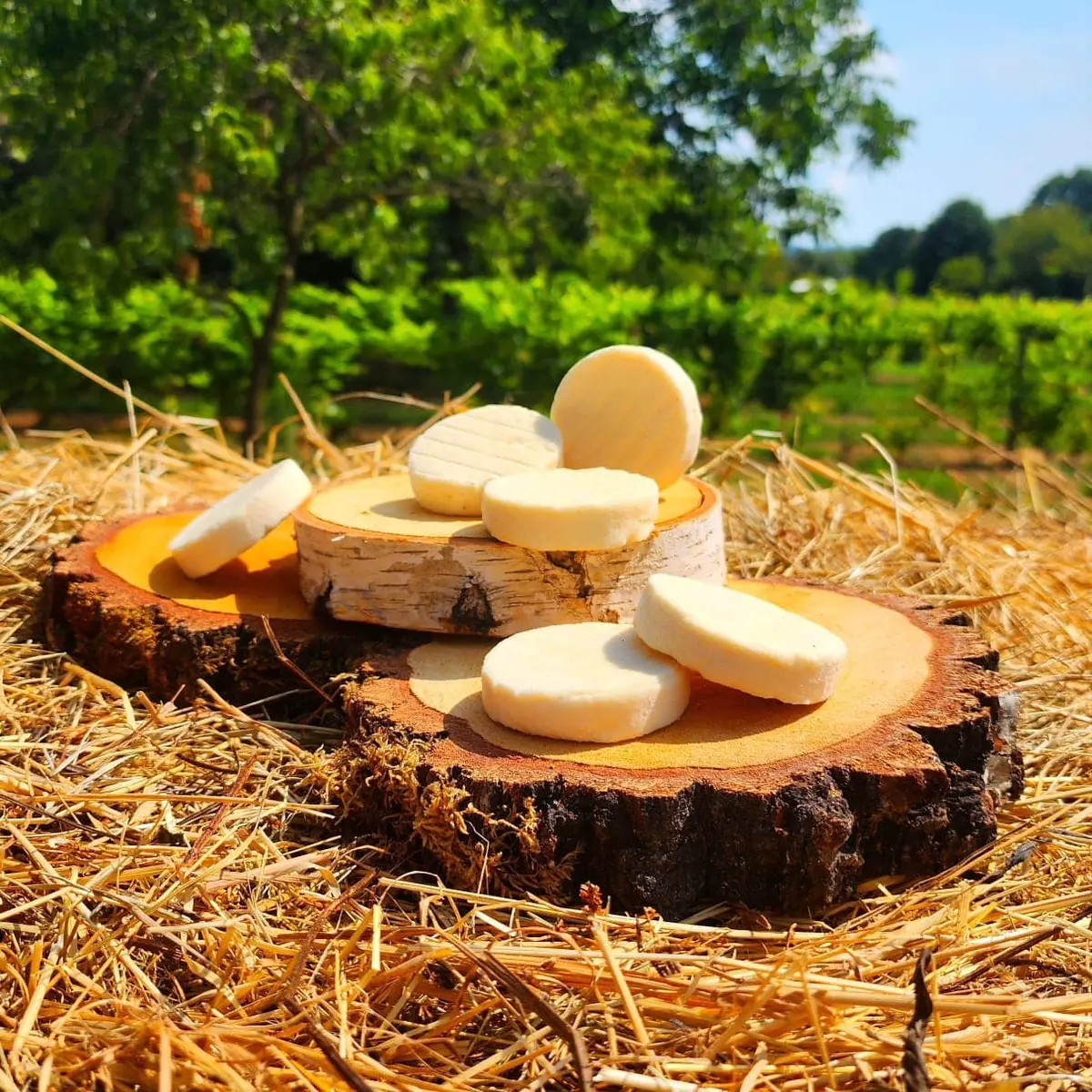 Chèvrerie du Lac de Roudet