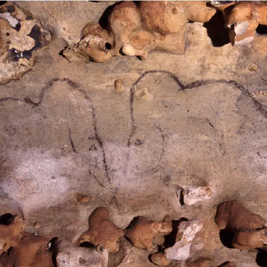 grottederouffignac1_plassard