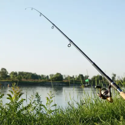 image pêche