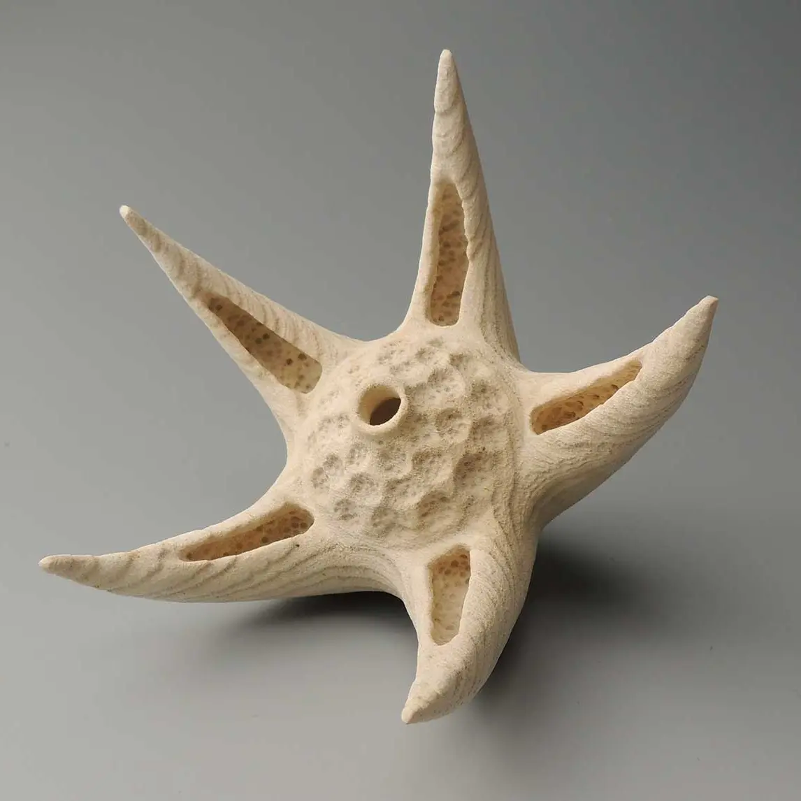 photo-1-complement-pour-le-site