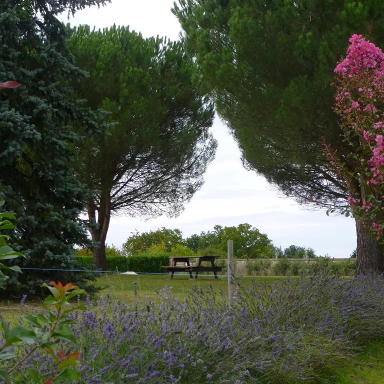 pique nique st michel double2