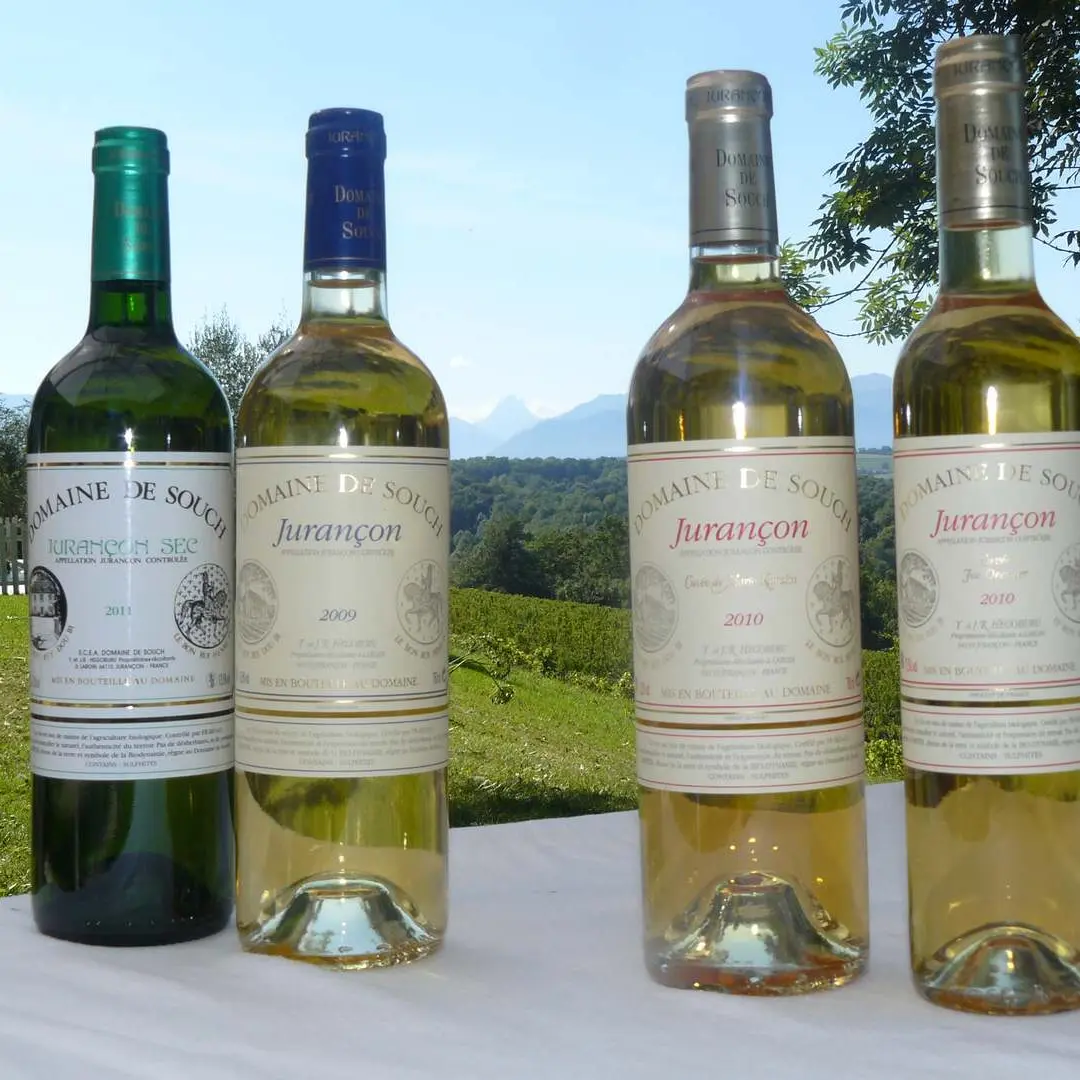Domaine de Souch - Laroin - production