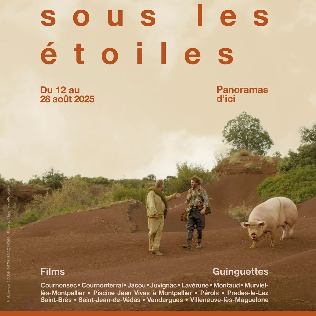 Cinéma sous les étoiles