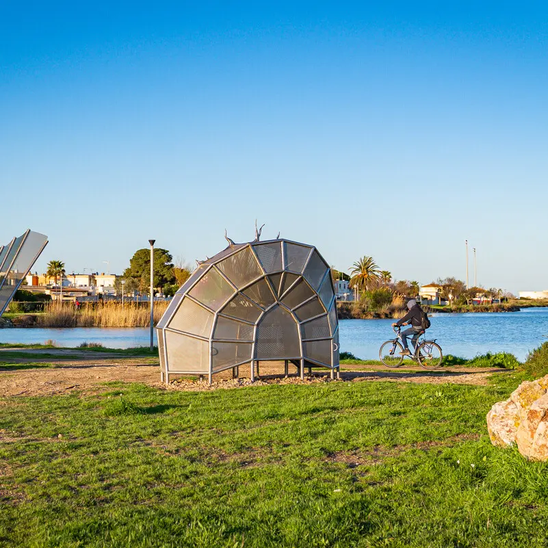 Cheval_de_Mer_-_Victoria_Klotz_-_BAM--_Victoria_Klotz__Cheval_de_mer__fevrier_2026__Frontignan_-_photo___Office_de_Tourisme_Archipel_de_Thau-37023-1200px