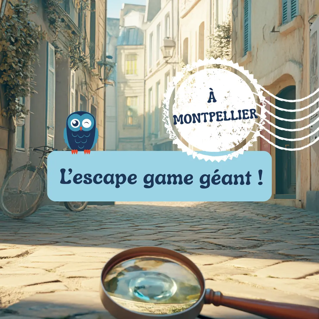 Visuel enquête Montpellier