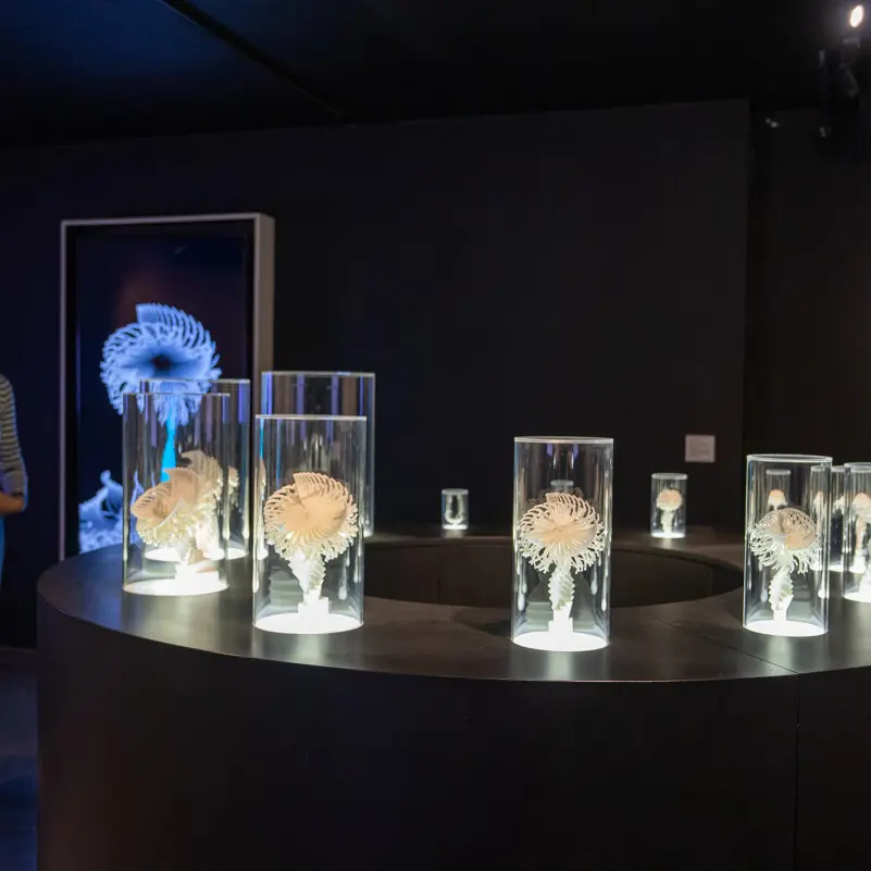 Miam_-_Exposition_Fait_Machine-M_RICARD_OT-THAU-28472-1200px
