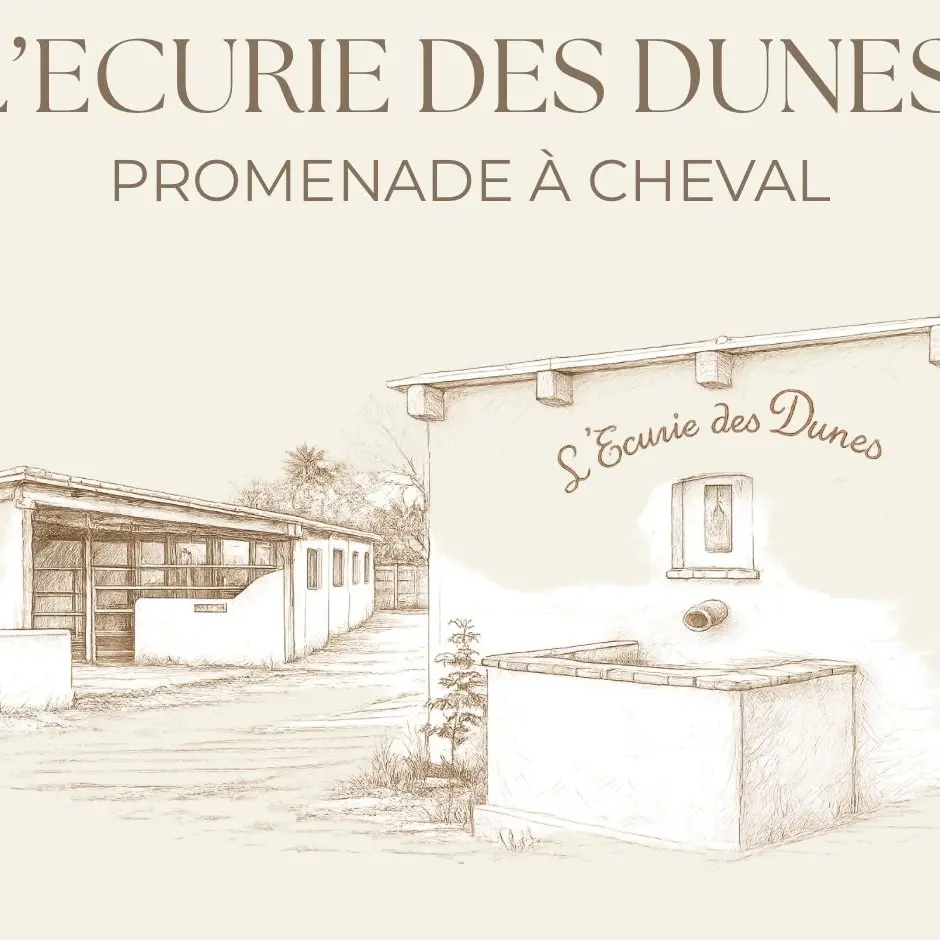 Neutral Minimalist Aesthetic Content Creator Essentials Instagram Post