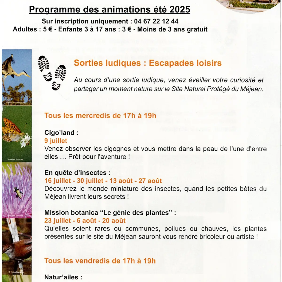 Programme ete maison de la nature  recto_page-0001