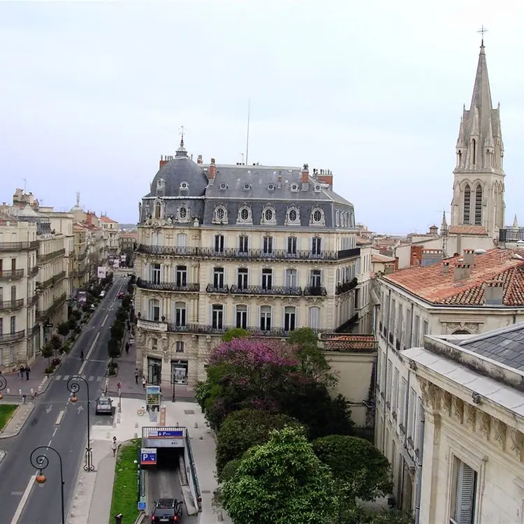 RENCONTRE AU SOMMET AVEC LES VIGNERONS DE L'AOC LANGUEDOC