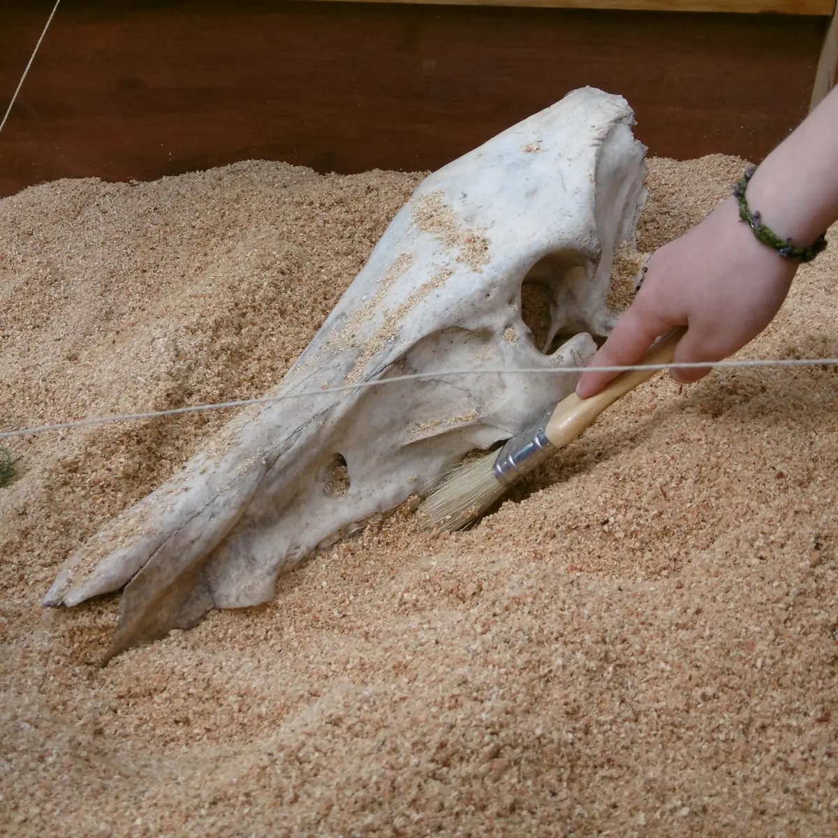 Festival Archéologie et Artisanat Maxent - 22 avril 2018 - photo A. Leroux (3) - réduite