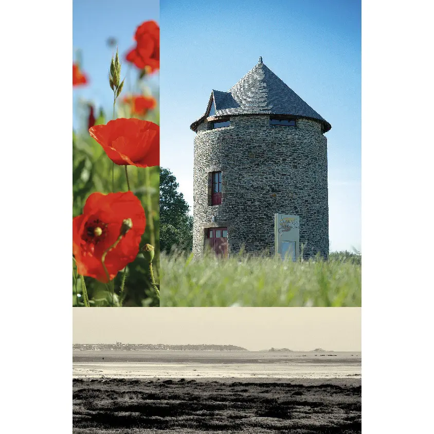 Lieu d'expositions Moulin de la Ville es Brune Hirel