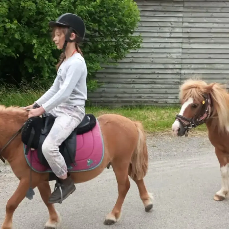 Balade à poney