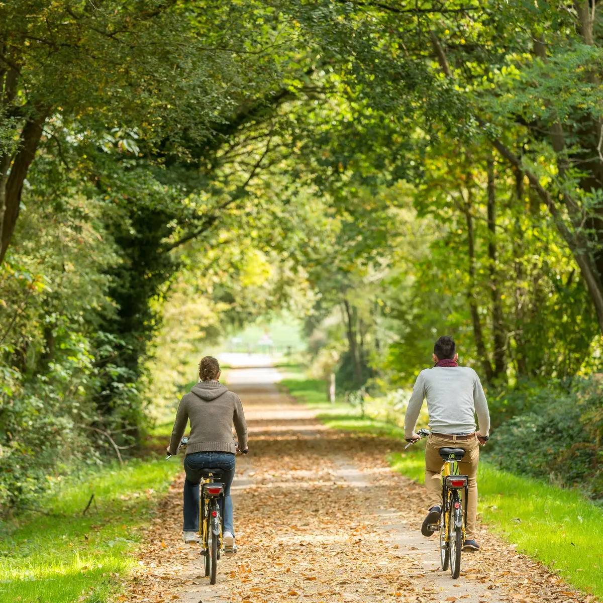 Brocéliande Bike ©BERTHIER-E