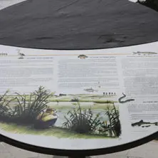 Chasse aux trésors à Redon