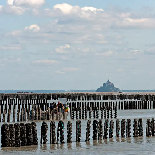 AOP Moules de bouchot de la Baie du Mont-Saint-Michel