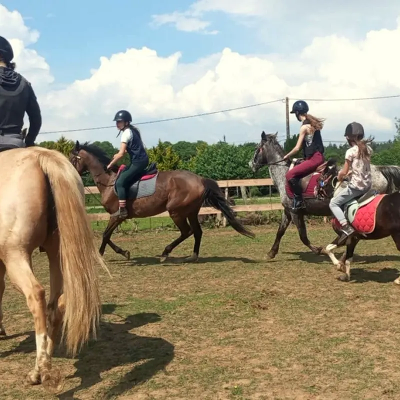 Entrainement à cheval