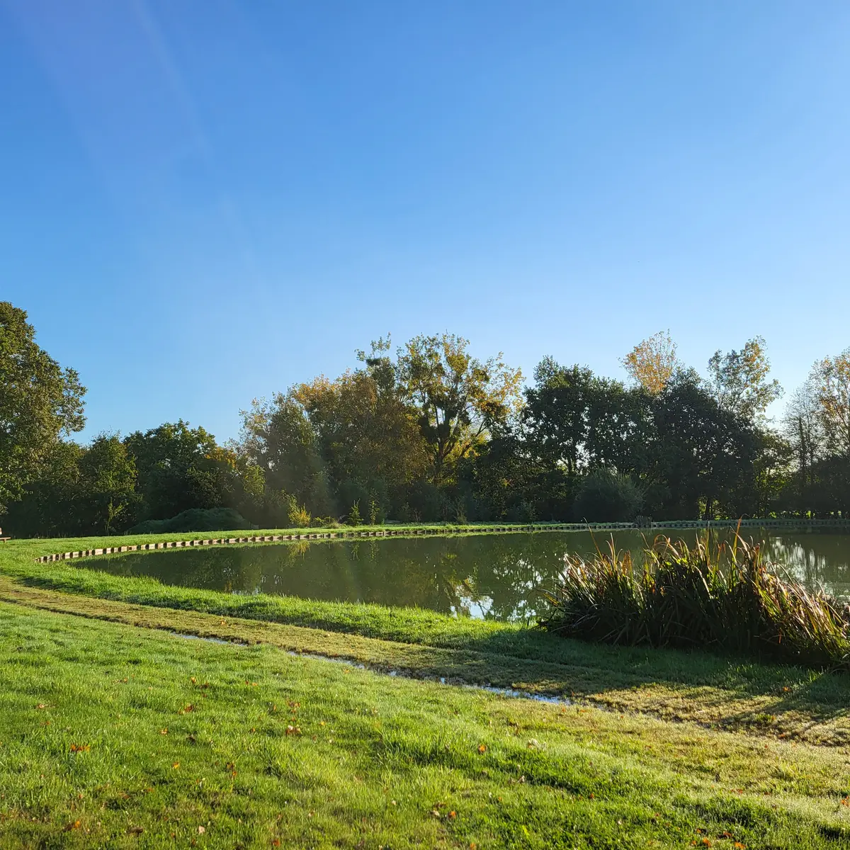 Etang de la fontaine Saint Fiacre rouissage du lin