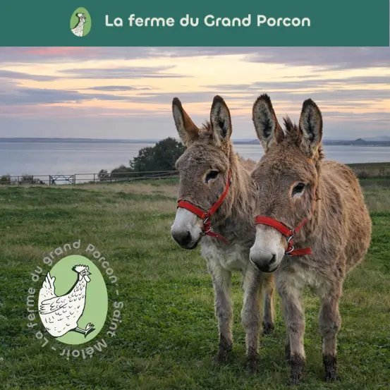 La Ferme du Grand Porcon