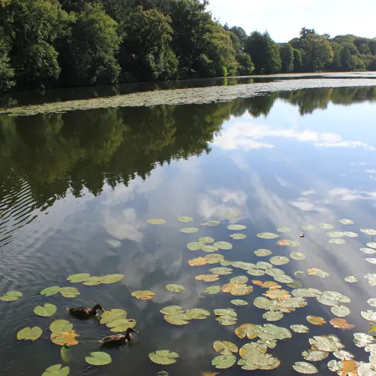 Etang du Moulin aux Moines